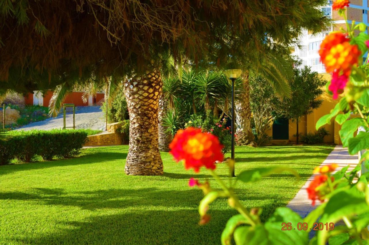 Bungalo En Primera Linea De La Playa El Campello Exterior photo